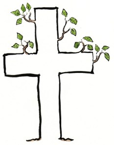 crossleaves