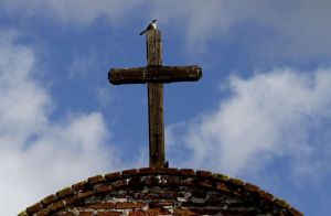 swallowcapistrano
