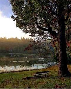 Photo Credit: Eric George